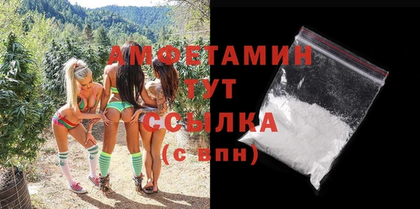 гидра Заводоуковск