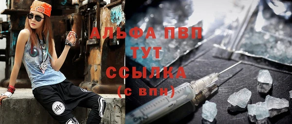 СК Елизово