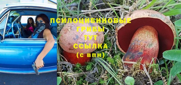 гидра Заводоуковск